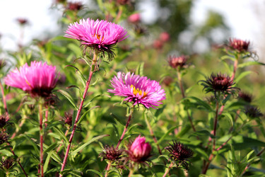 Similar image 22273890