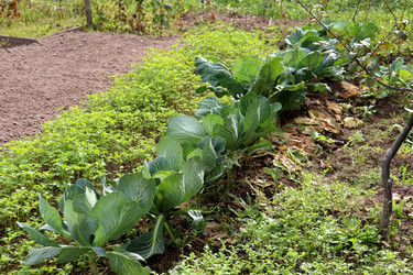 Similar image 22281309