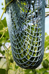 Similar image 22281310