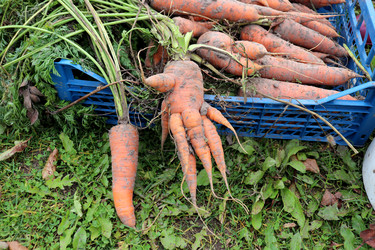 Similar image 22281311