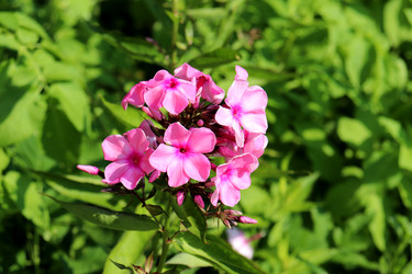 Similar image 22281312