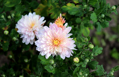 Similar image 22281313