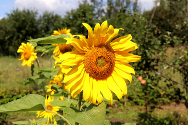 Similar image 22281314