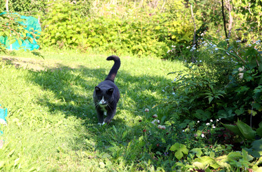 Similar image 22281315