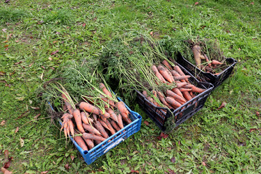 Similar image 22281316