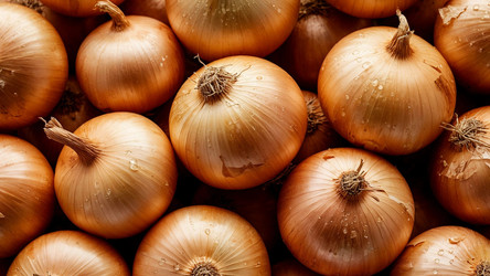 Similar image 22282145