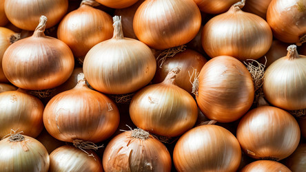 Similar image 22282148