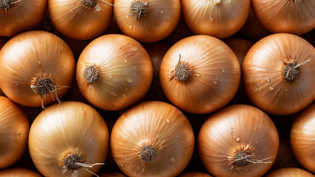 Similar image 22282149