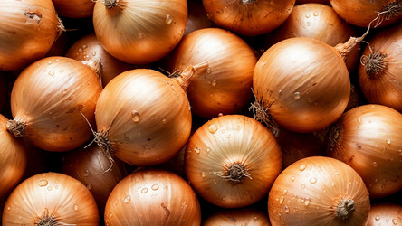 Similar image 22282150