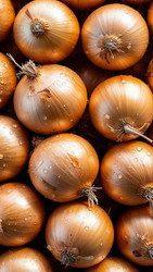 Similar image 22282151