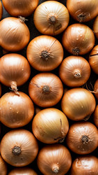 Similar image 22282154