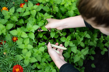 Similar image 22285245