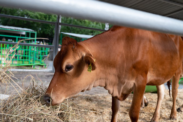 Similar image 22285246