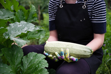 Similar image 22285251