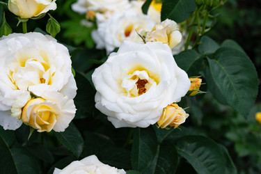 Similar image 22285252