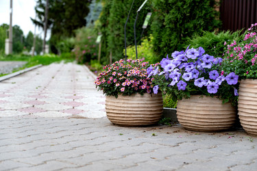 Similar image 22285253