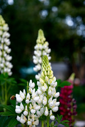 Similar image 22285254