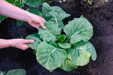 Similar image 22285255