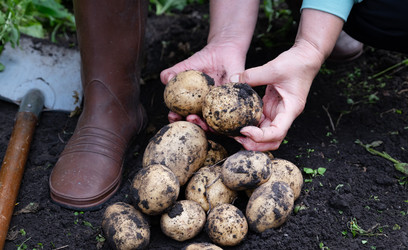 Similar image 22285259