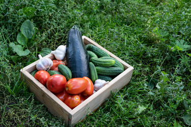 Similar image 22285260