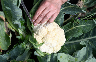 Similar image 22285261