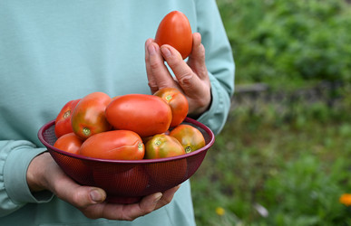 Similar image 22285262