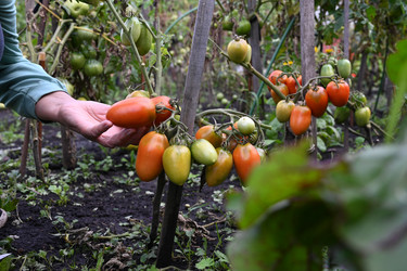 Similar image 22285264