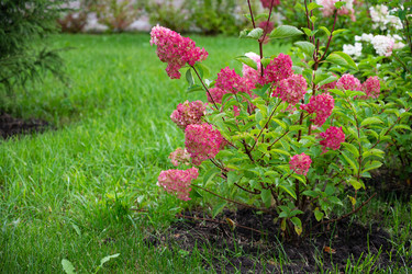 Similar image 22285268