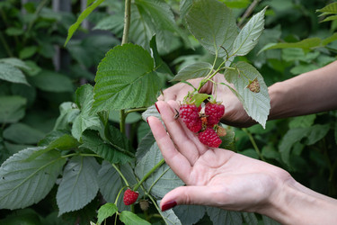 Similar image 22285270