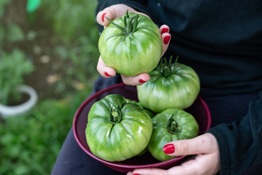 Similar image 22285271