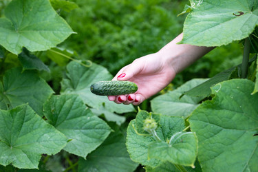 Similar image 22285272