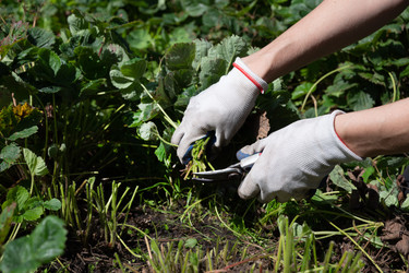 Similar image 22285273