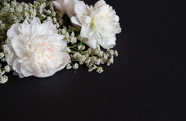 Similar image 22285278