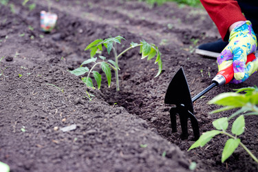 Similar image 22285279