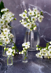 Similar image 22285280