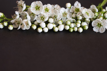 Similar image 22285281