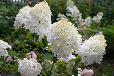 Similar image 22285287