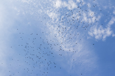 Similar image 22275239