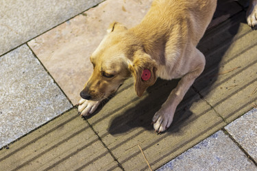 Similar image 22275244