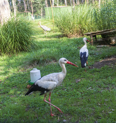 Similar image 22275246