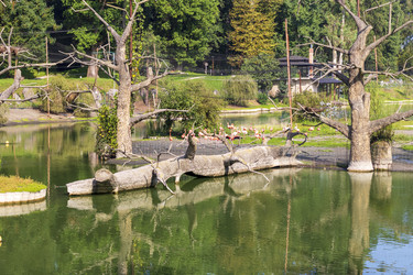 Similar image 22275247