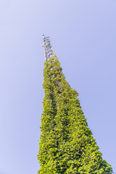 Similar image 22275249