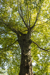 Similar image 22275250