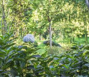 Similar image 22275253