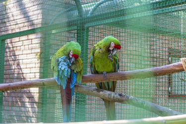 Similar image 22275254