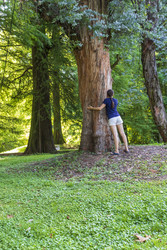 Similar image 22275255