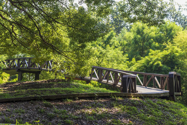 Similar image 22275256