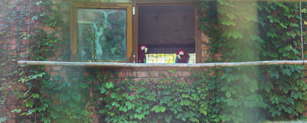 Similar image 22275257