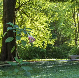 Similar image 22275258