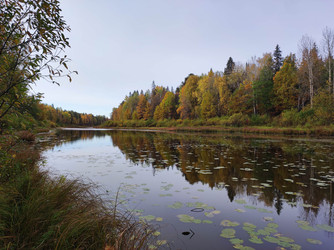 Similar image 22279933